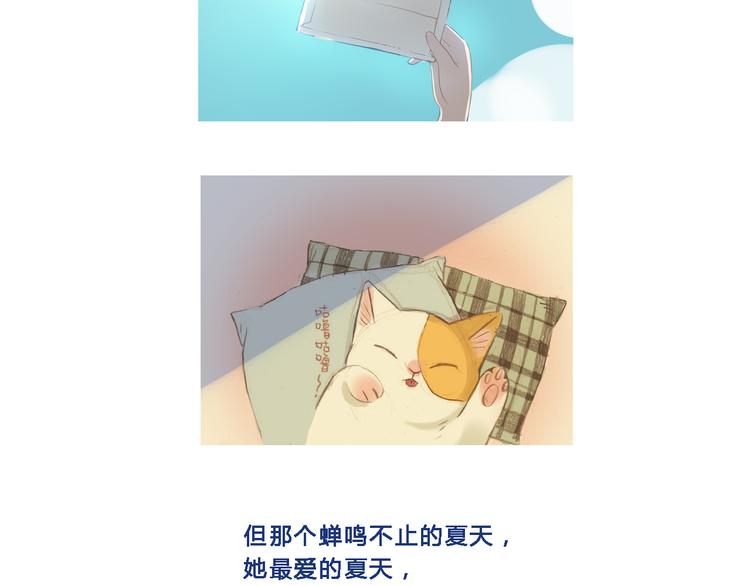 回顾 猫咪与我的回忆15