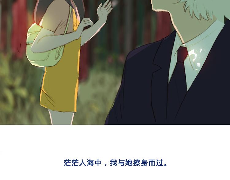 回顾 猫咪与我的回忆3