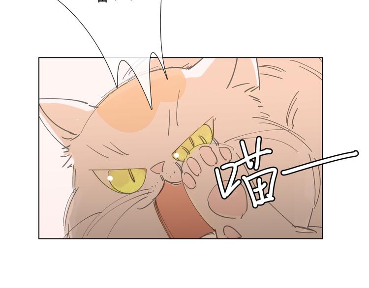 第6话 找到喵咪啦2