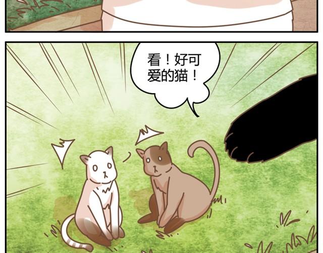 相知篇#3 居然想逃跑？！4