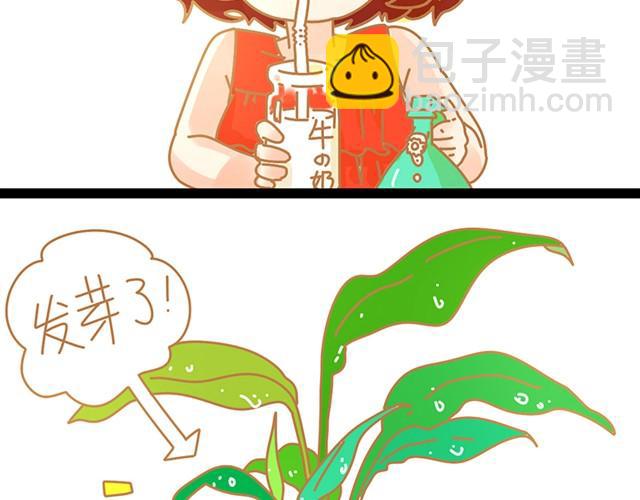 小惊喜4