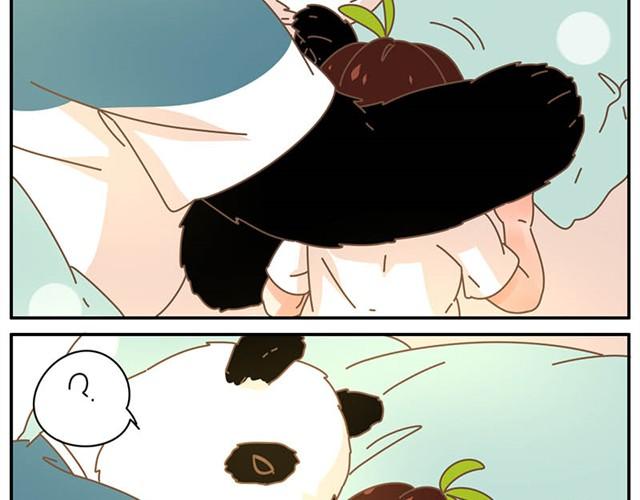 送你个抱枕8