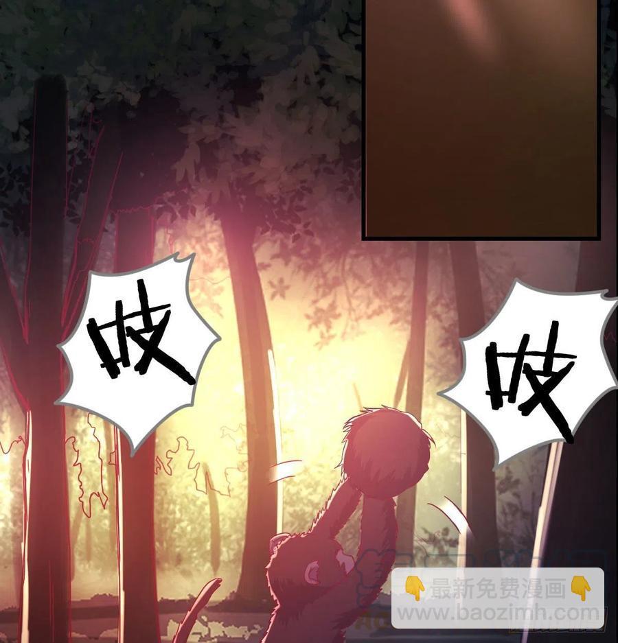 给猴子调酒12