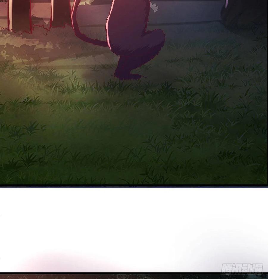 给猴子调酒13