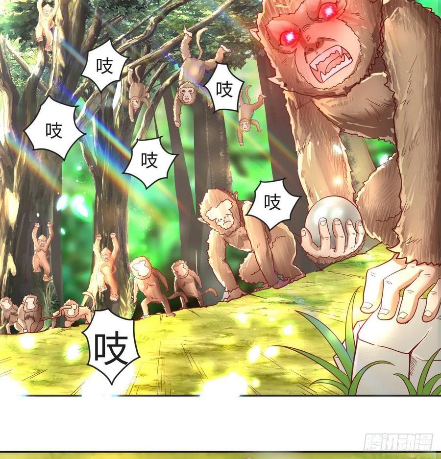 智斗猴群17