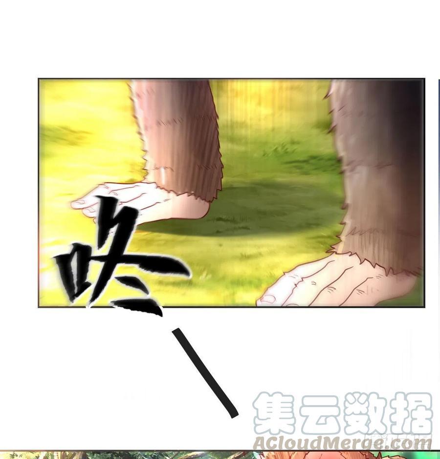 智斗猴群16