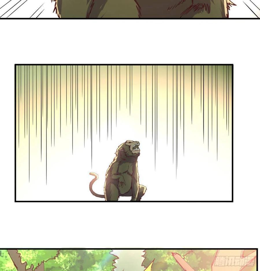 智斗猴群3