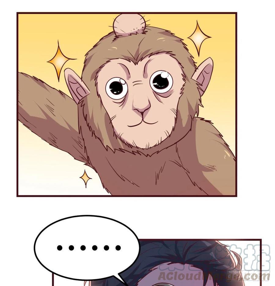 给猴子调酒28