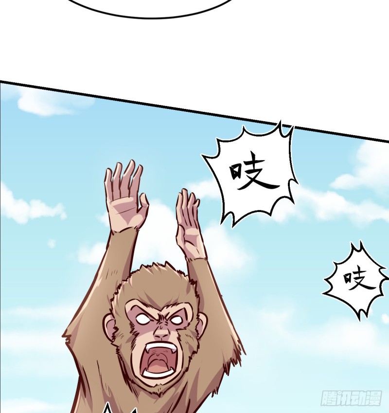老阴比14