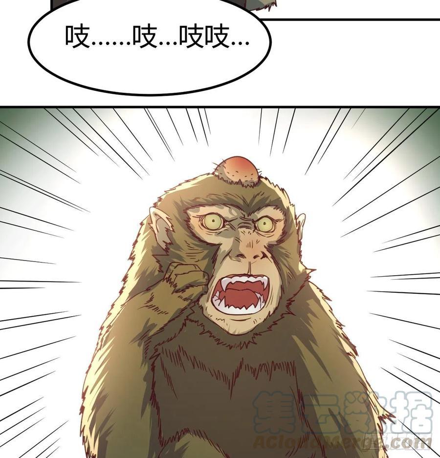 智斗猴群2