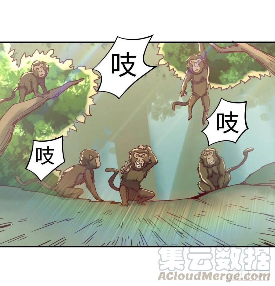 智斗猴群10