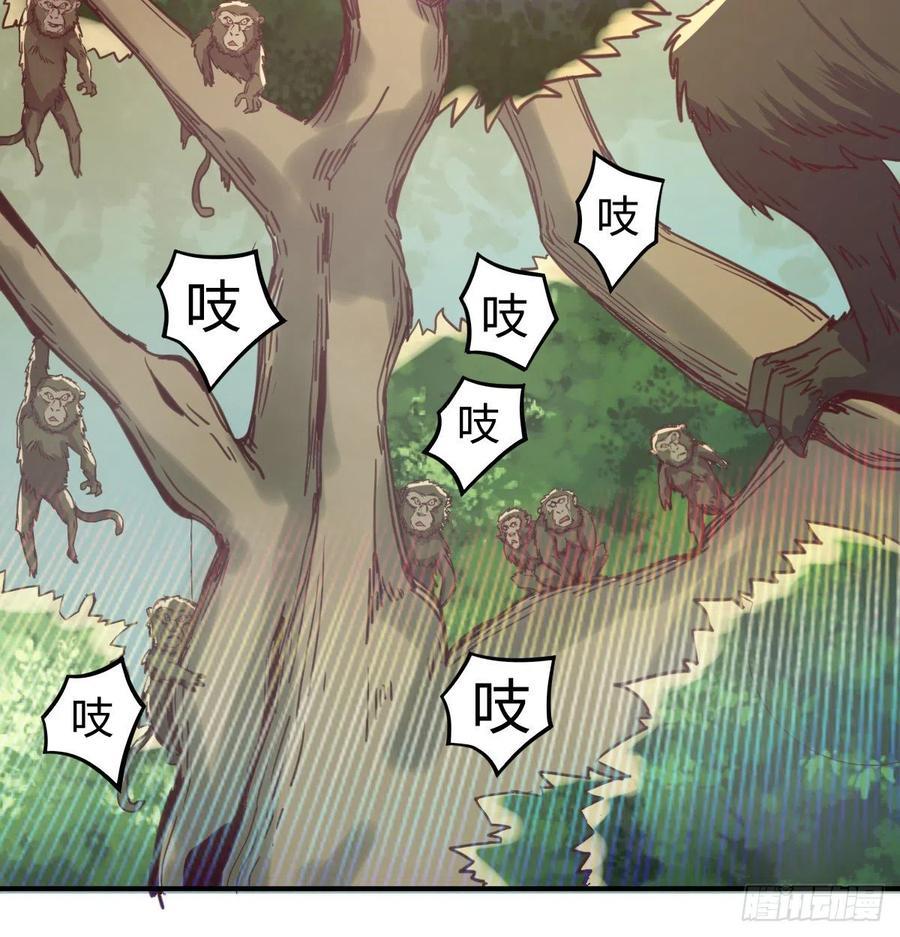 智斗猴群9