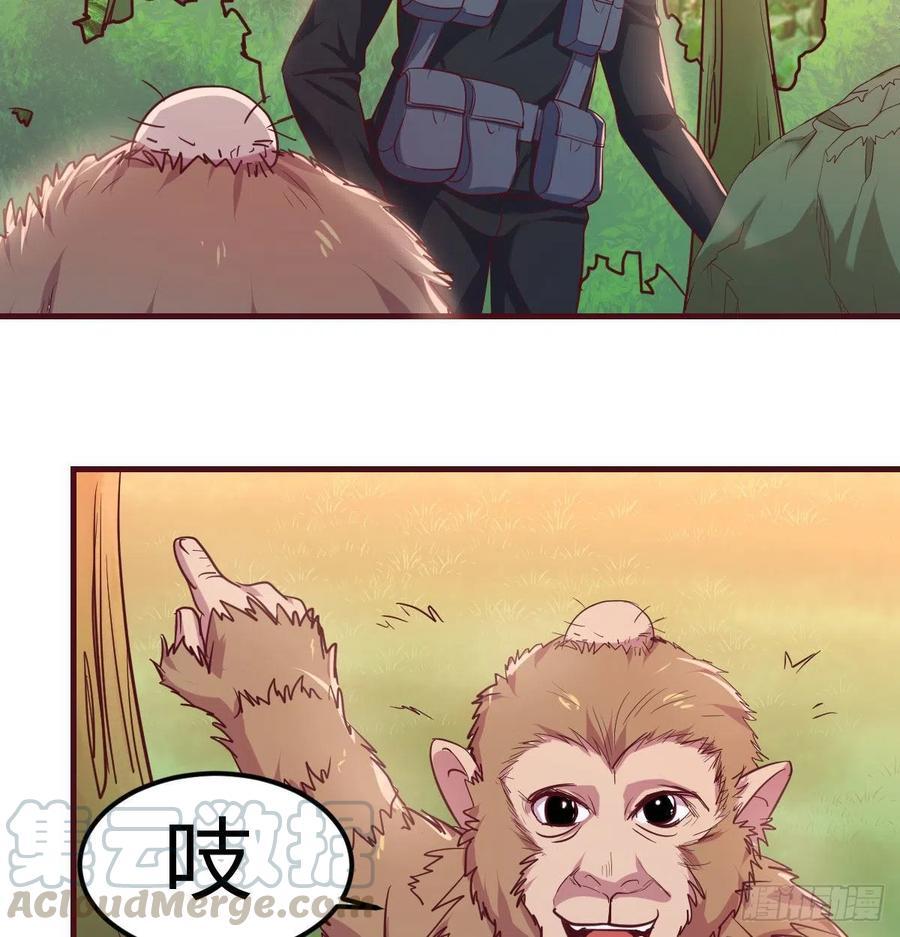 给猴子调酒24