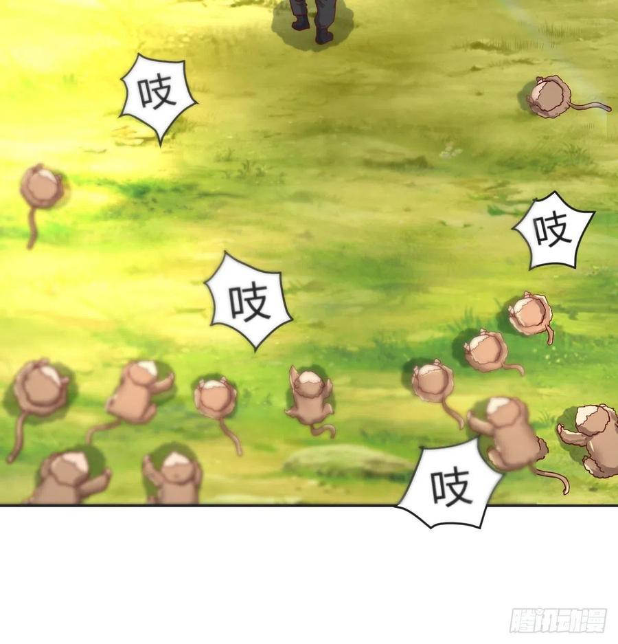 智斗猴群19
