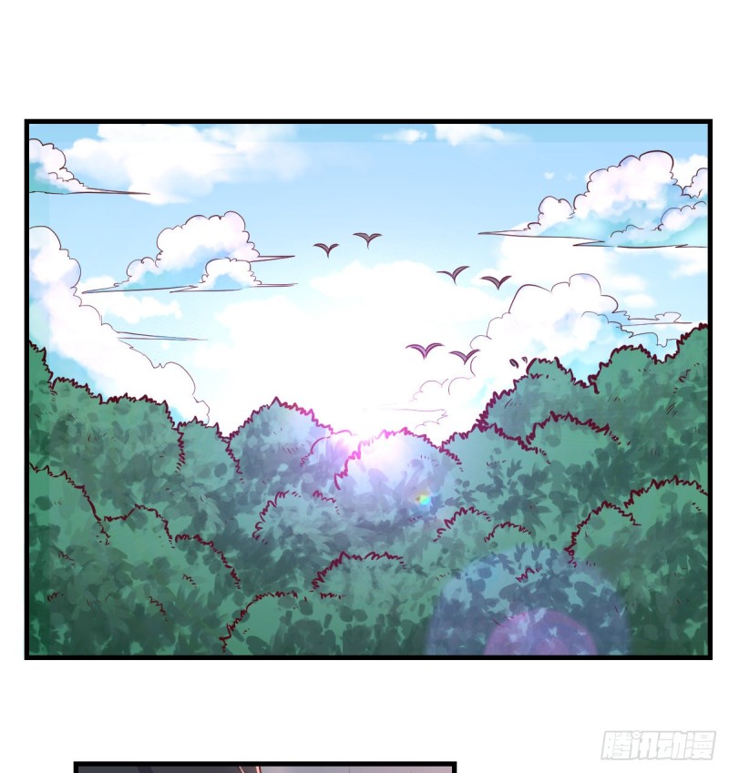 老阴比6