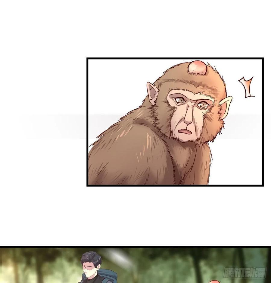 全知之眼44