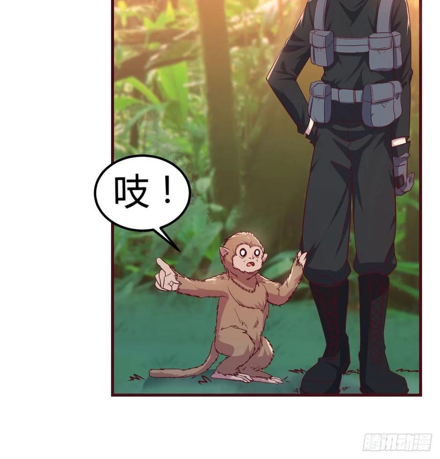给猴子调酒27