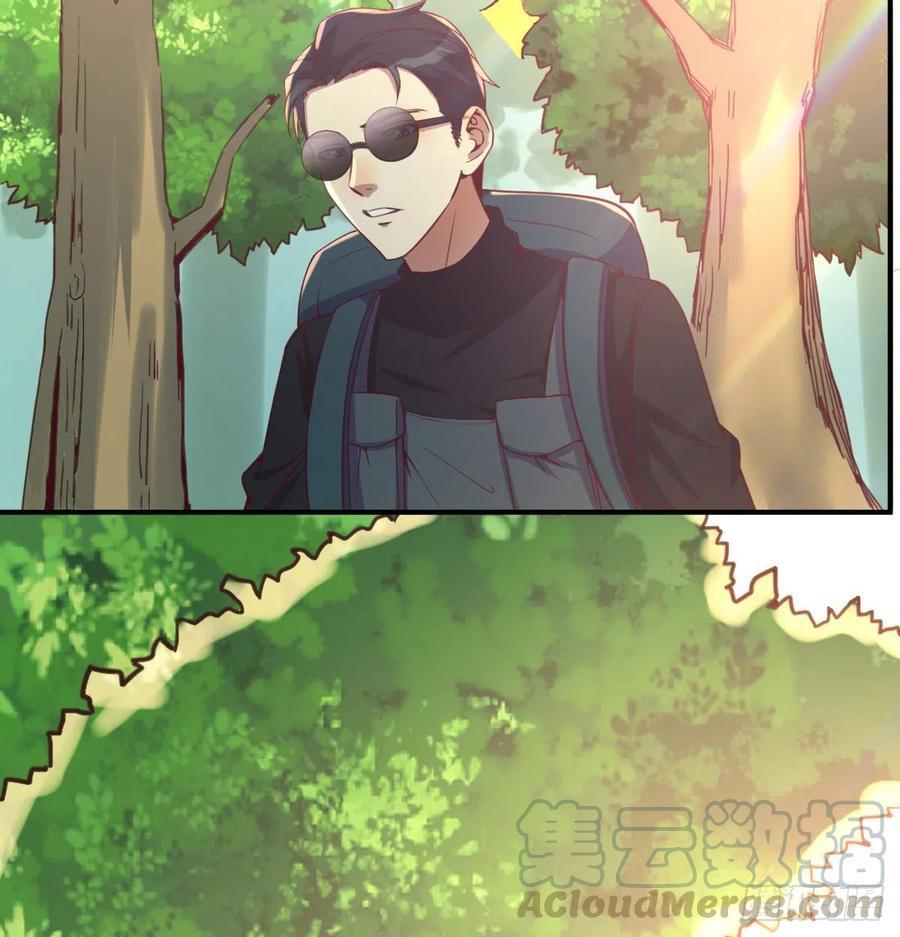 智斗猴群4