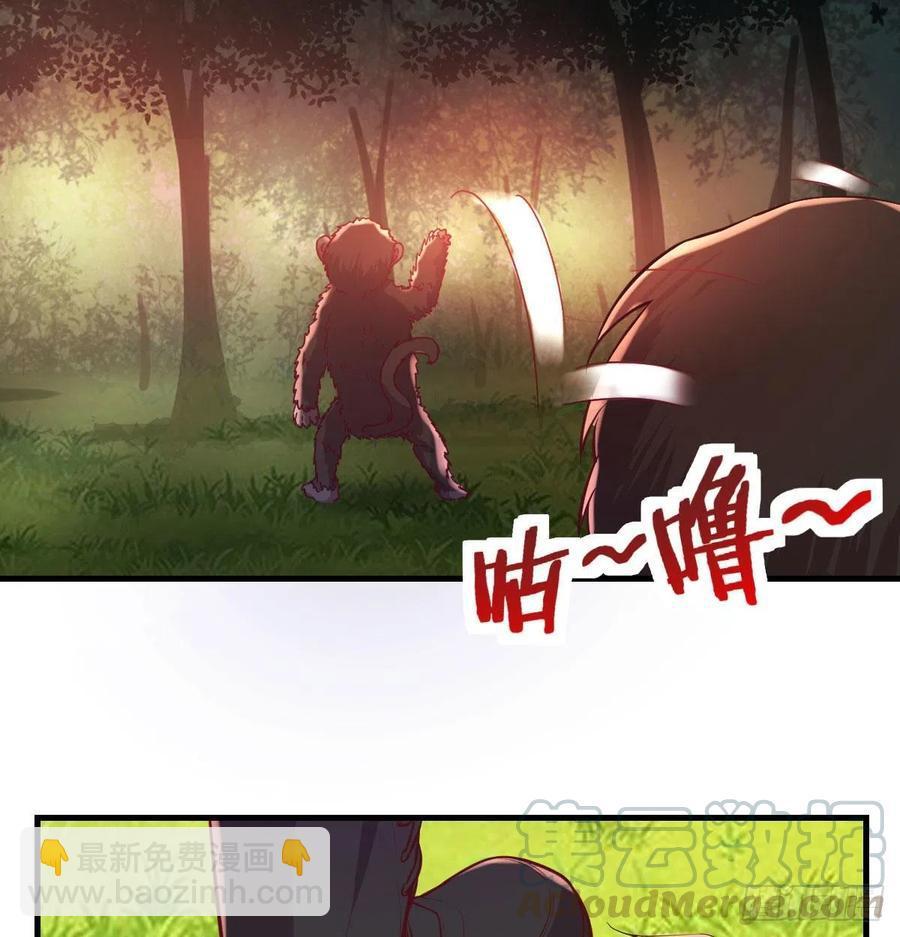 给猴子调酒14