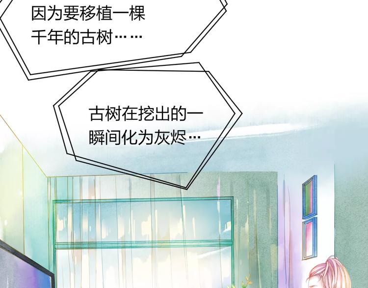 第1话 千年枯枝变美男？！82