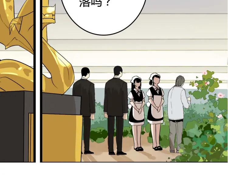 整容第二季回归！1