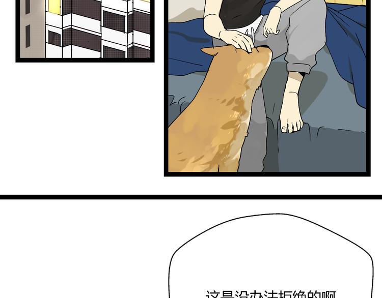 第4话(中) 视频风波53