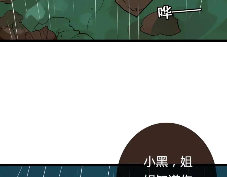 整容第二季回归！38