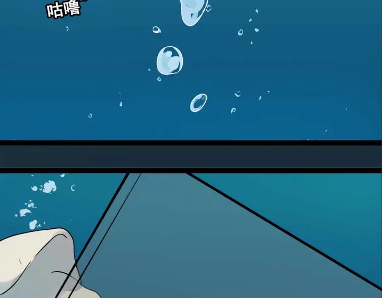 整容第二季回归！50