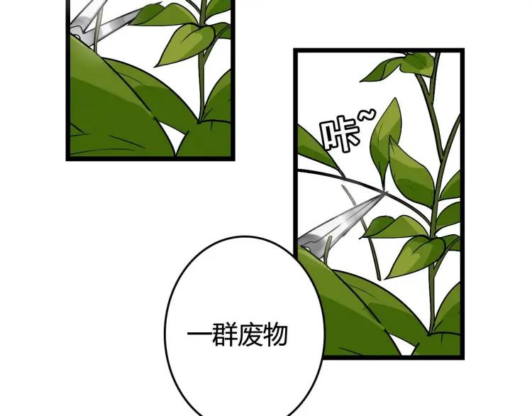 整容第二季回归！5