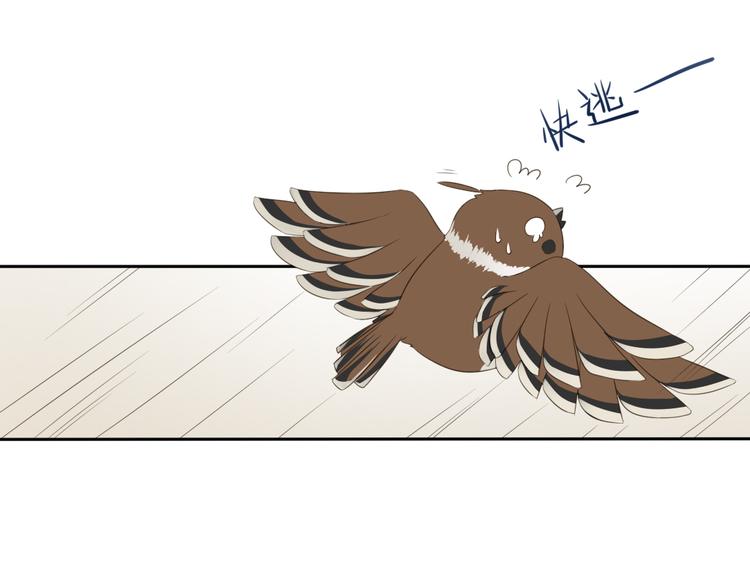 第2话 她是我罩的41