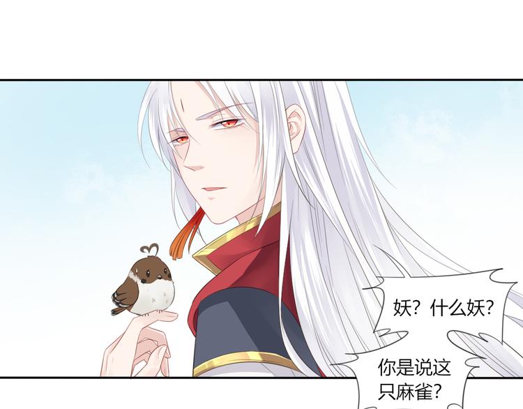 第2话 她是我罩的67