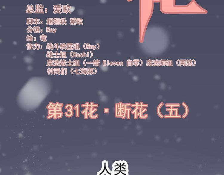 第31花1