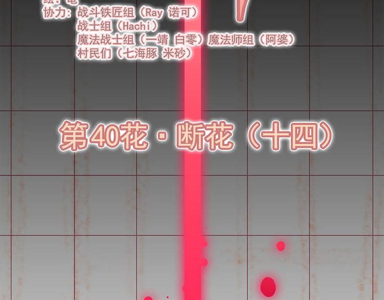 第40花1