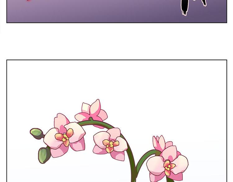 第33花57