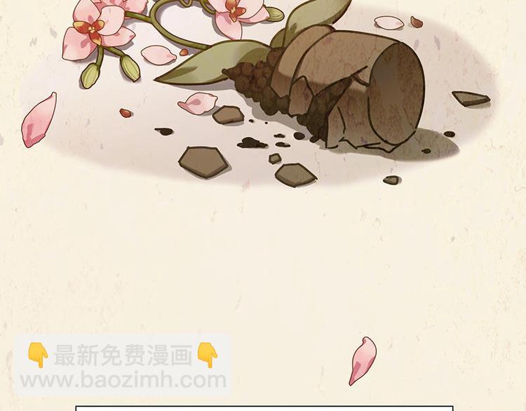 第34花20