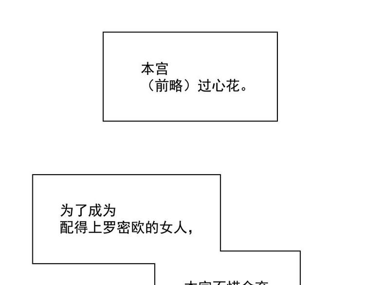 第28花10