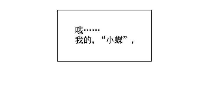 第34花14