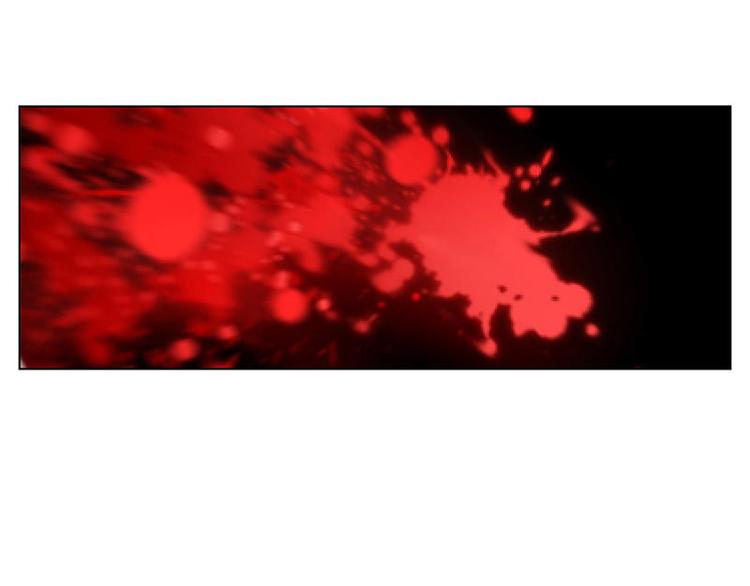 第48花40