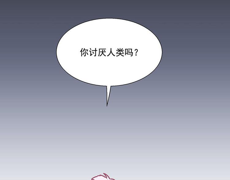 第41花2