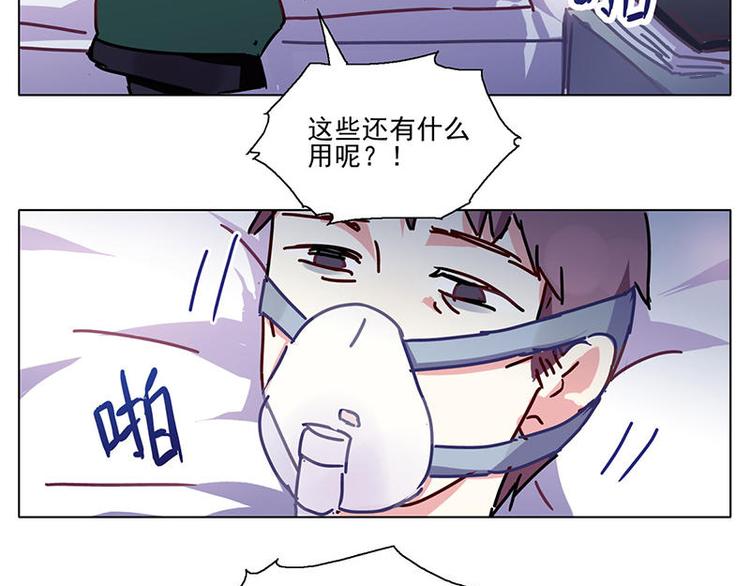 第24花24