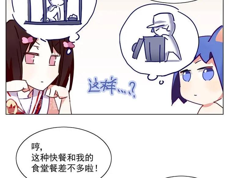 第13花18