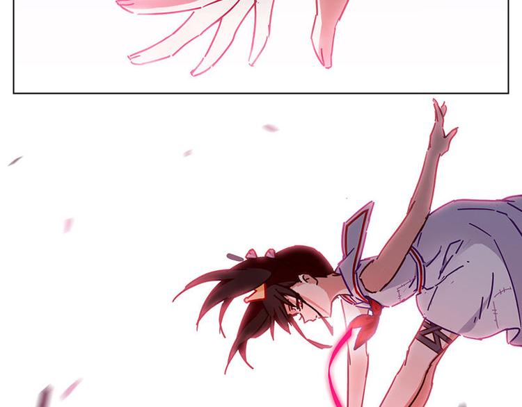 第48花6