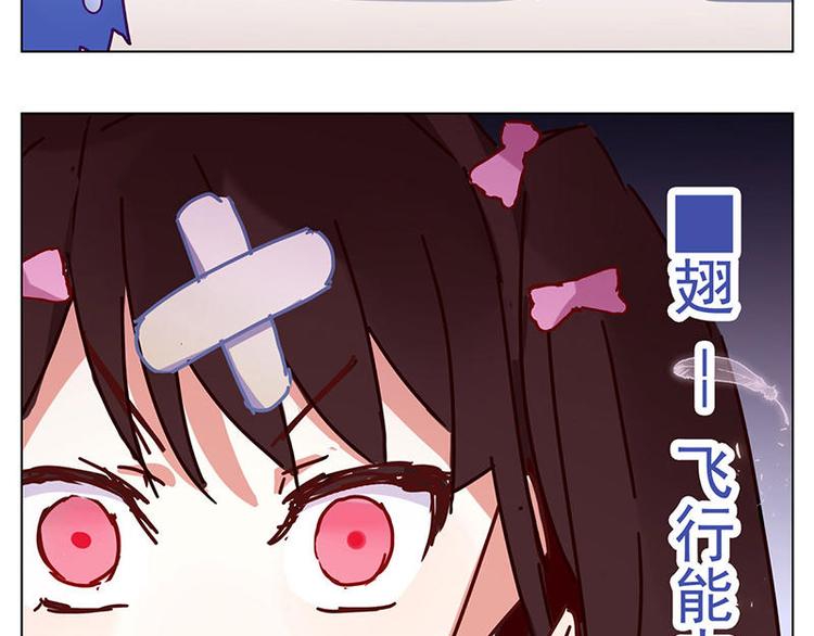 第6花16