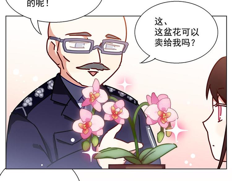 第34花33