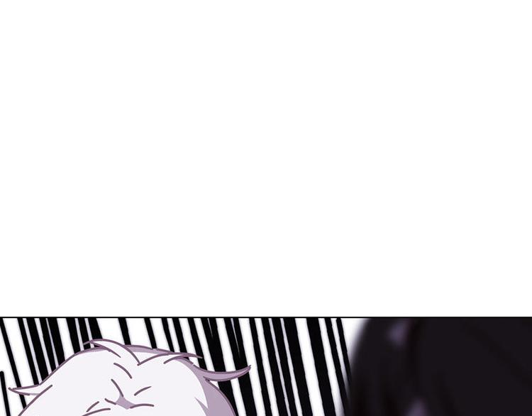 第48花48