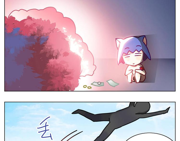 第8花20