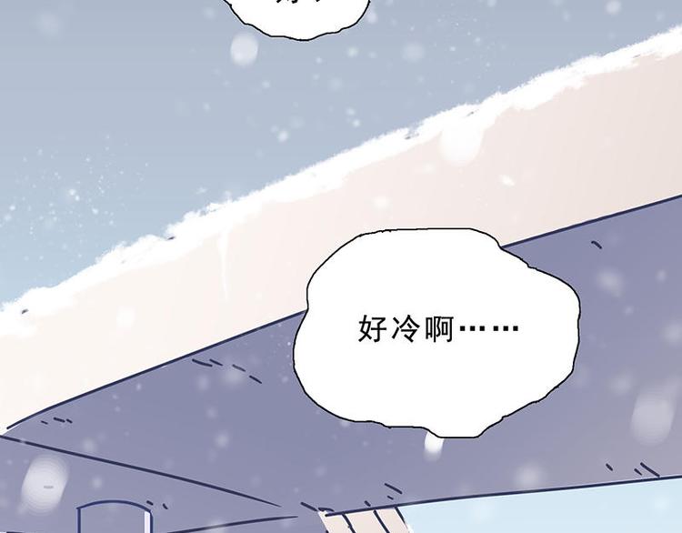 第28花4