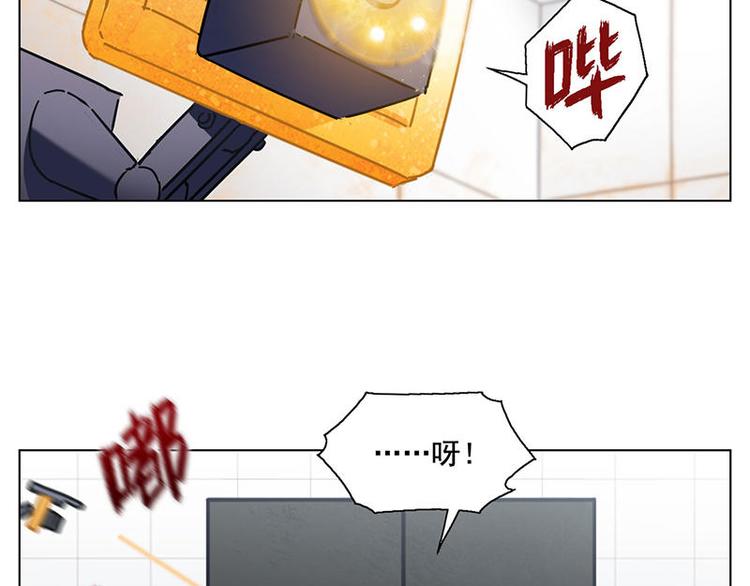 第43花44