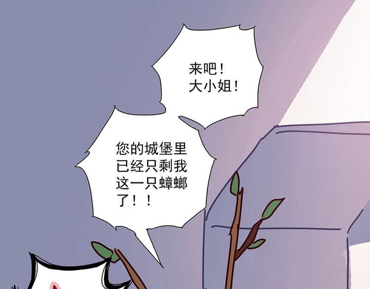 第5花17