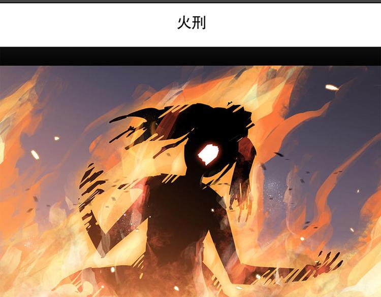 第39花5